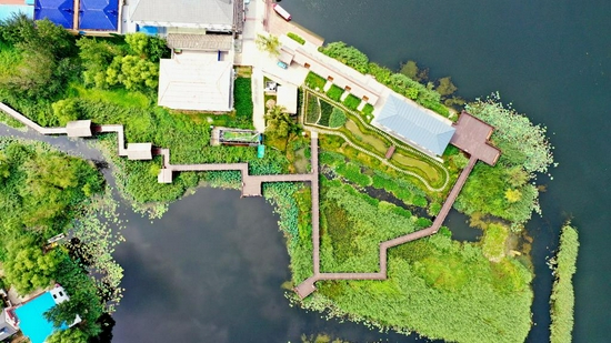 这是白洋淀区安新县圈头乡邵庄子村内经过改造后建设的游园。8月14日摄,无人机照片。新华社记者牟宇 摄